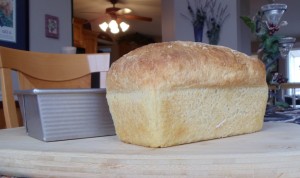Intro To Baking No Knead Bread In Bread Pans