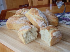 IntroTo Making No-Knead Bread In Batches